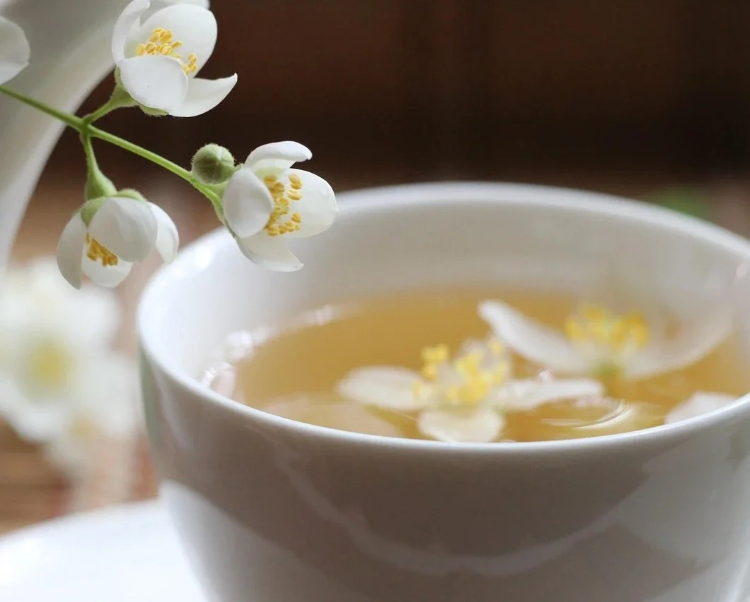 Cup of jasmine green tea